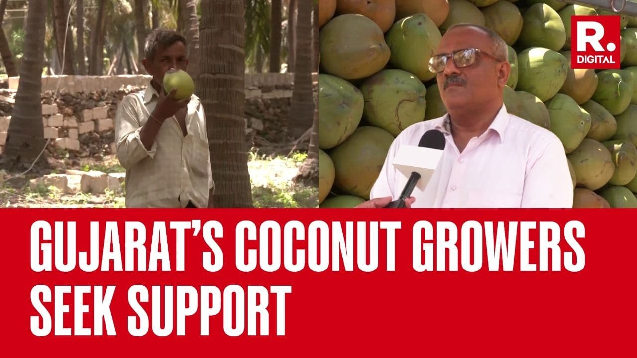 Gujarat’s Coconut Growers Seek Government Support For Expansion