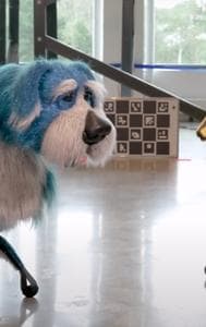 Robot dogs dancing in the video goes viral 