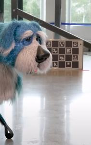 Robot dogs dancing in the video goes viral 