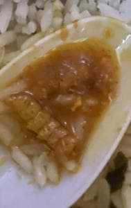Passenger Finds Insect In Food On Kashi Express