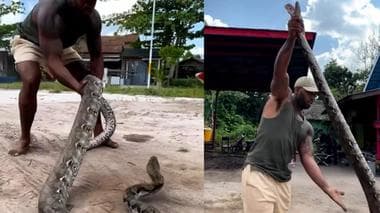Man Catches Giant Snake, Video Viral