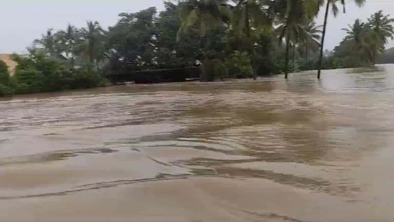 tamil Nadu rains