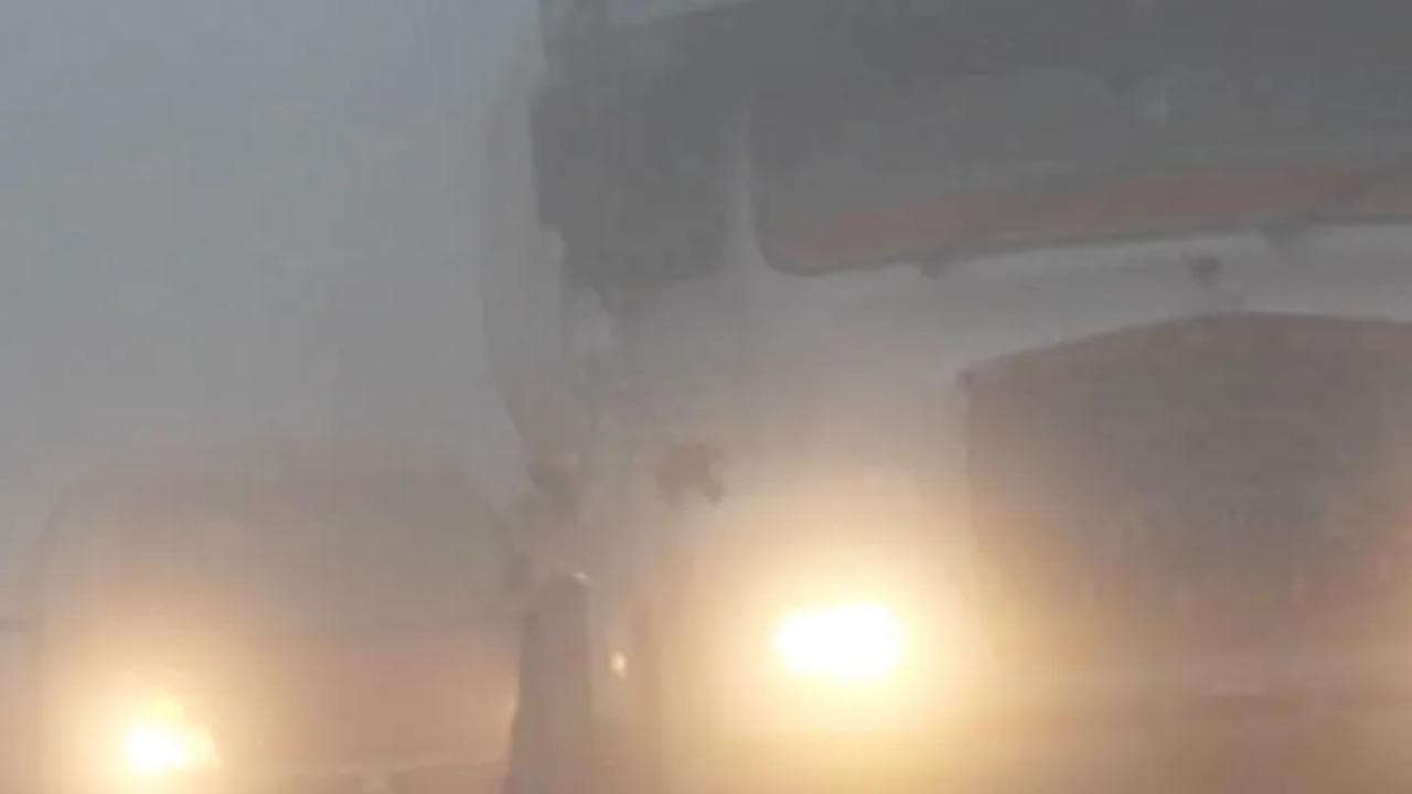 Thick fog in Punjab, Haryana; minimum temperatures hover close to normal
