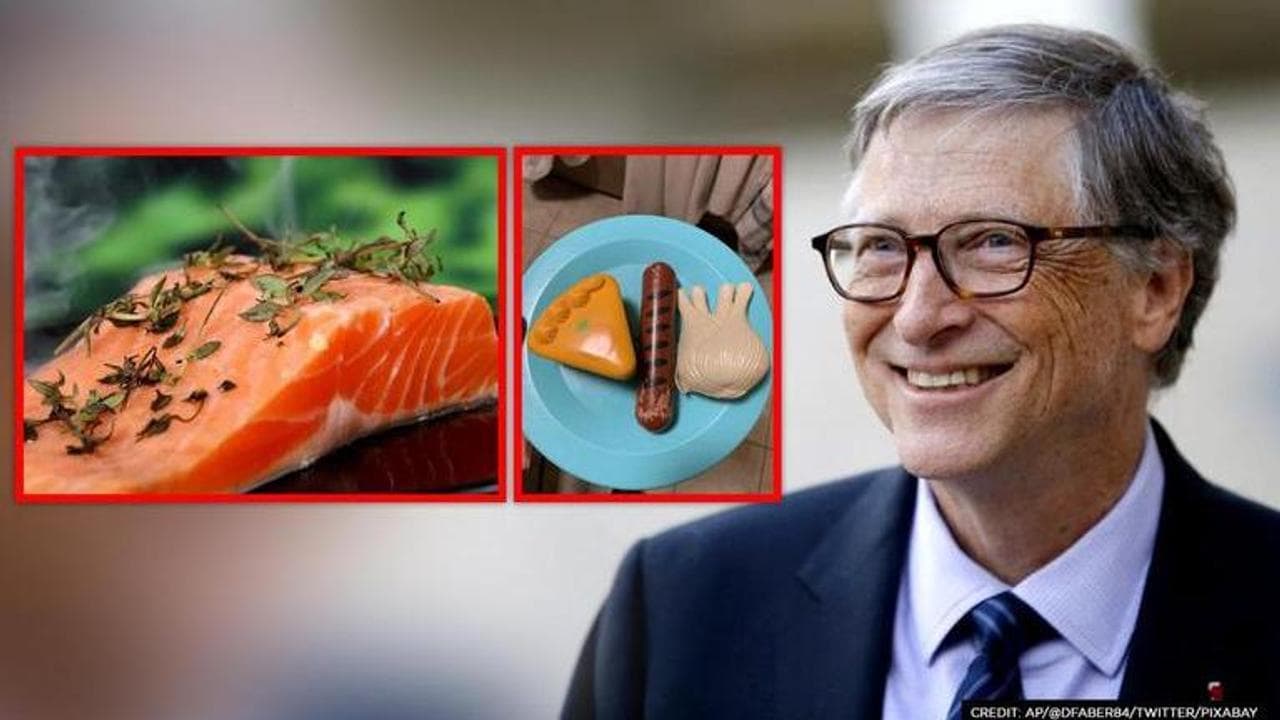 Bill Gates' proposal of synthetic meat stirs internet| See tweets
