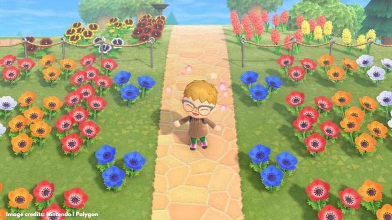 Animal Crossing flower guide