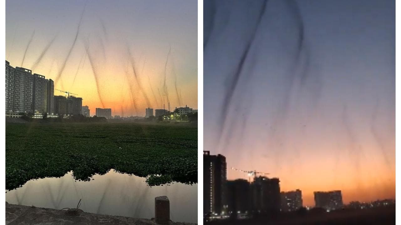 Residents Panic as Mosquito Tornadoes Overwhelm Mutha River Area