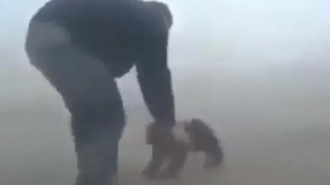 A man saved the baby bear from the fire 