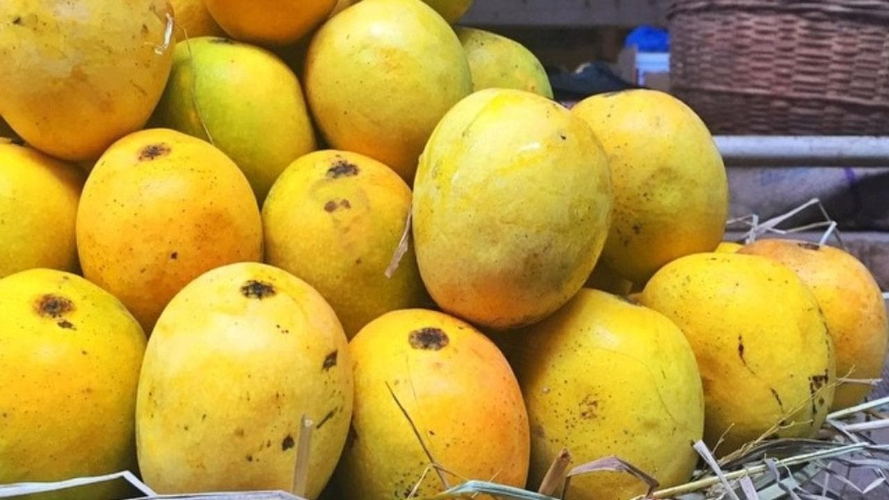 Goa's Mancurad Mangoes Price Surge to Rs. 7,000 Per Dozen