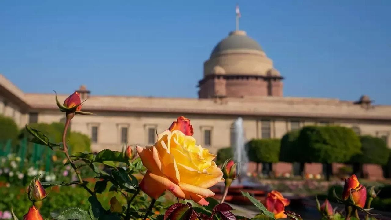 View from the Amrit Udyan at the Rashtrapati Bhavan.