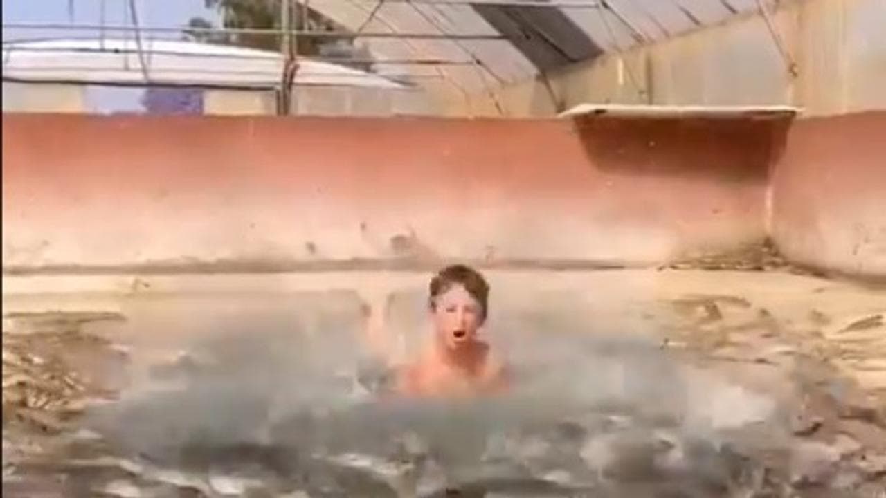 Viral video of a young boy diving into a pool of infant crocodiles