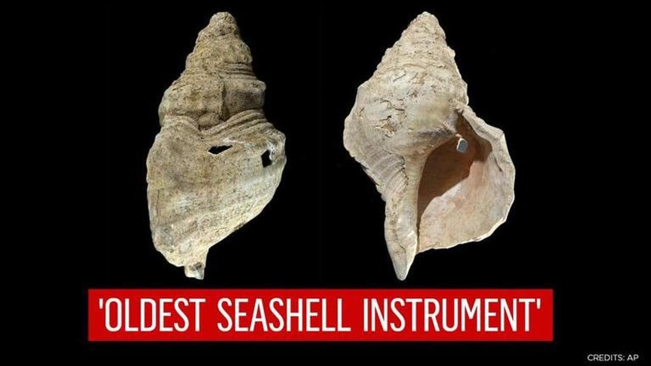 'Classic archaeology': Shell from French cave found to ancient wind instrument