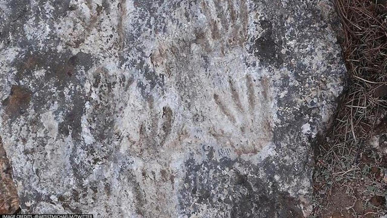 fossilised handprints