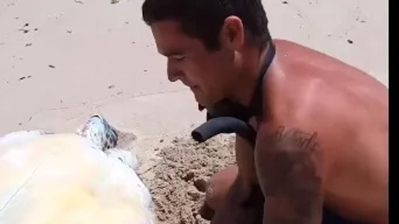 YouTuber Brodie Moss rescue turtle stuck in the sand.