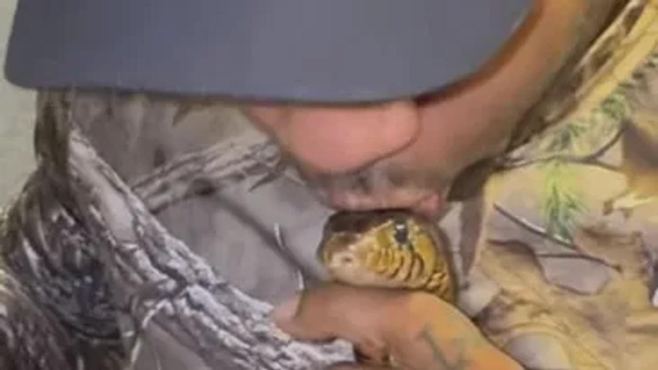 Man helps snake in skin shedding, goes viral on the Internet