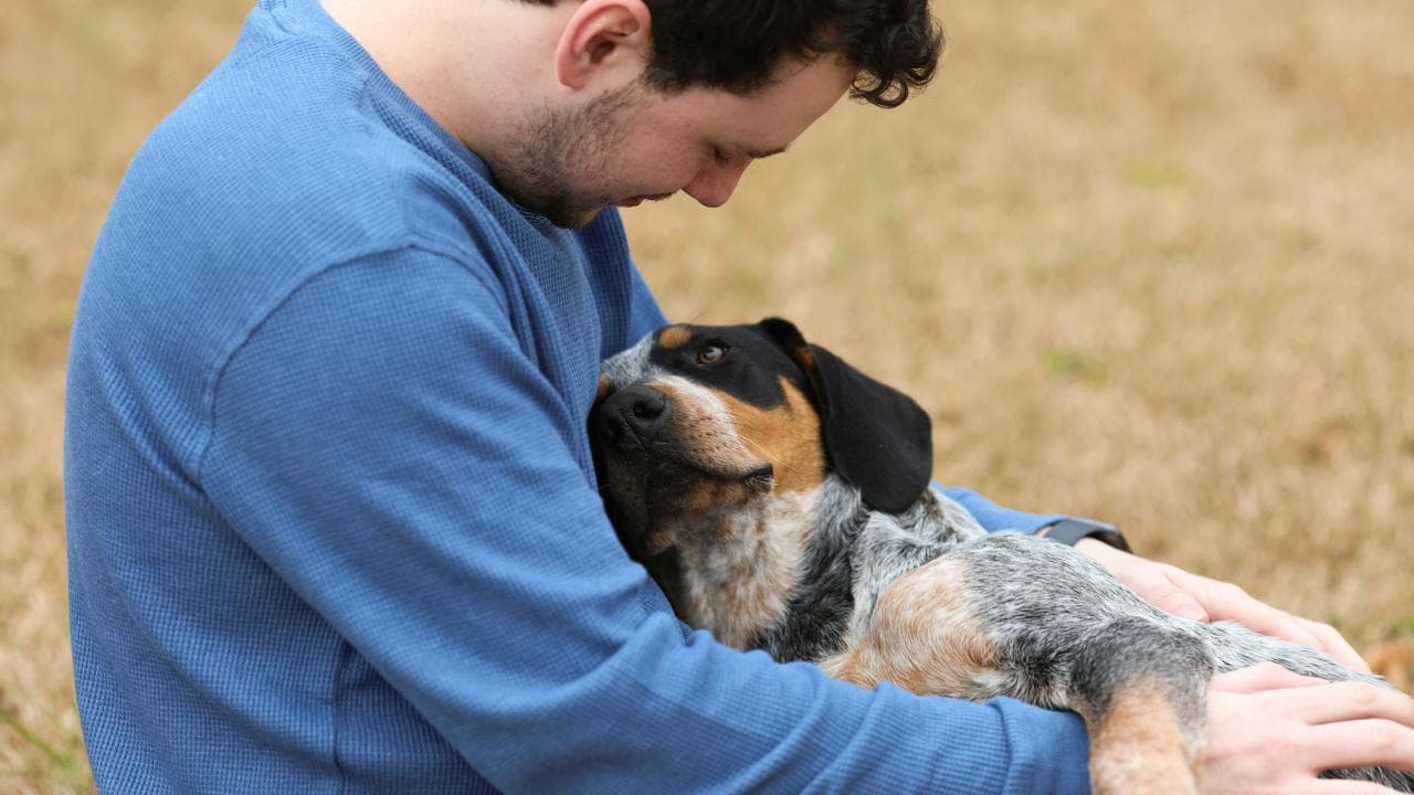 Napping With Your Pet Dog Comes With These Scientific Benefits 