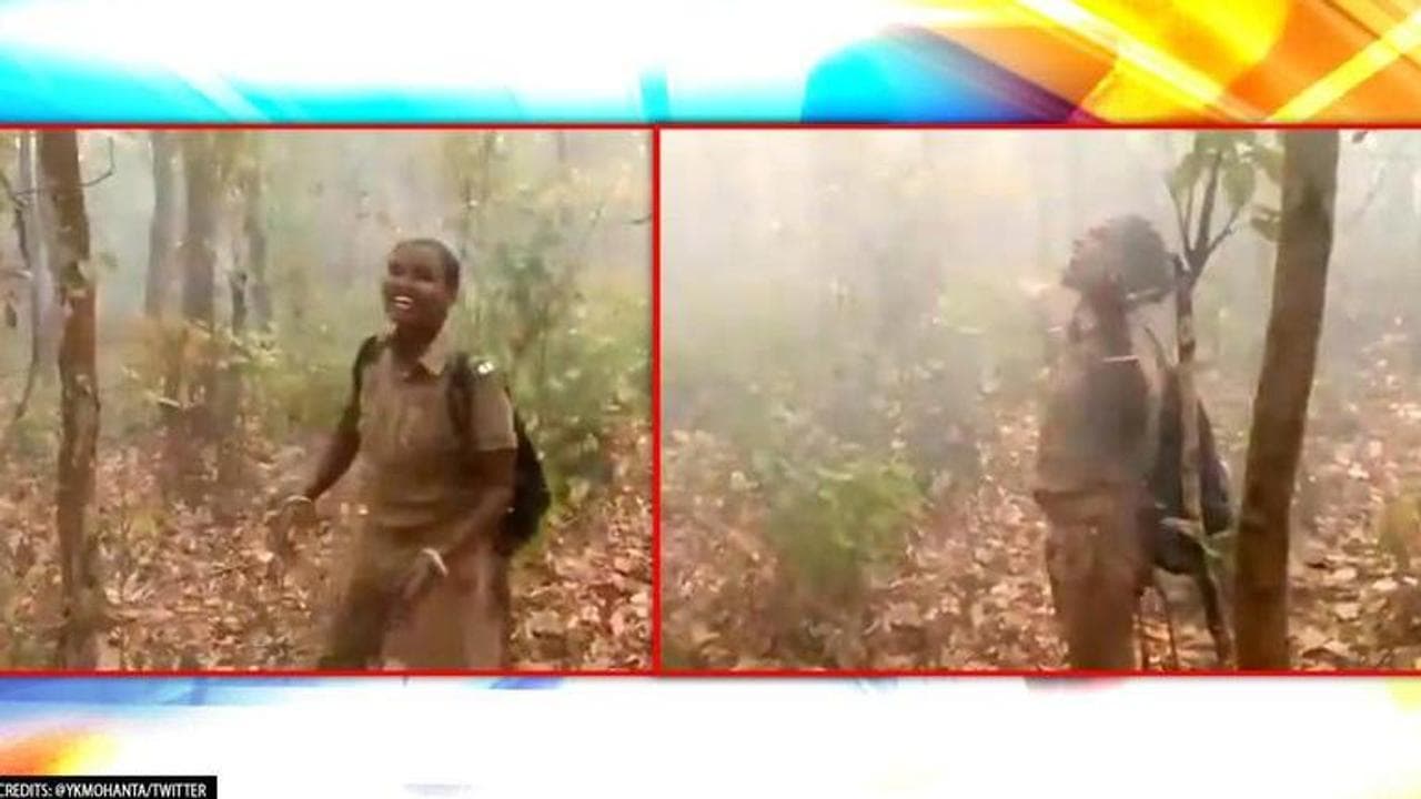 Odisha: Video shows forest official dancing in rain, netizens call it 'blissful