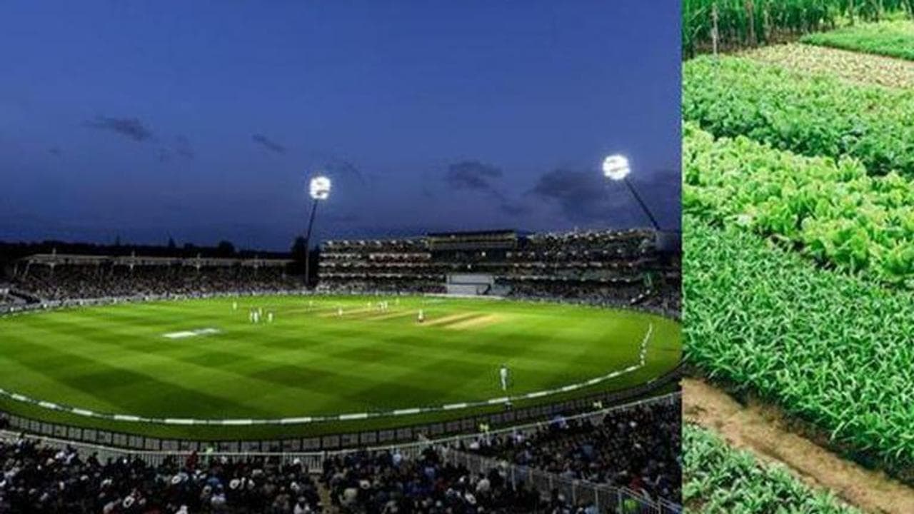 Pakistan, Pakistan cricket stadium, PCB×Khanewal, Khanewal stadium, Pakistan stadium growing vegetables, Imran Khan, Babar Azam