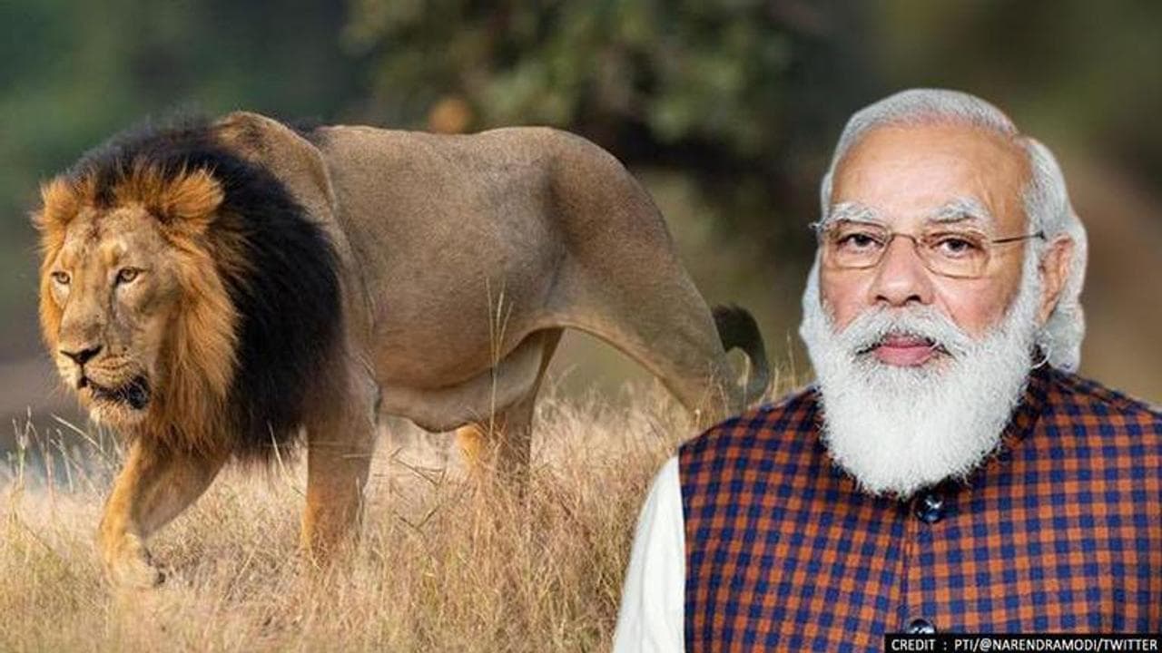 World Lion Day, PM Modi