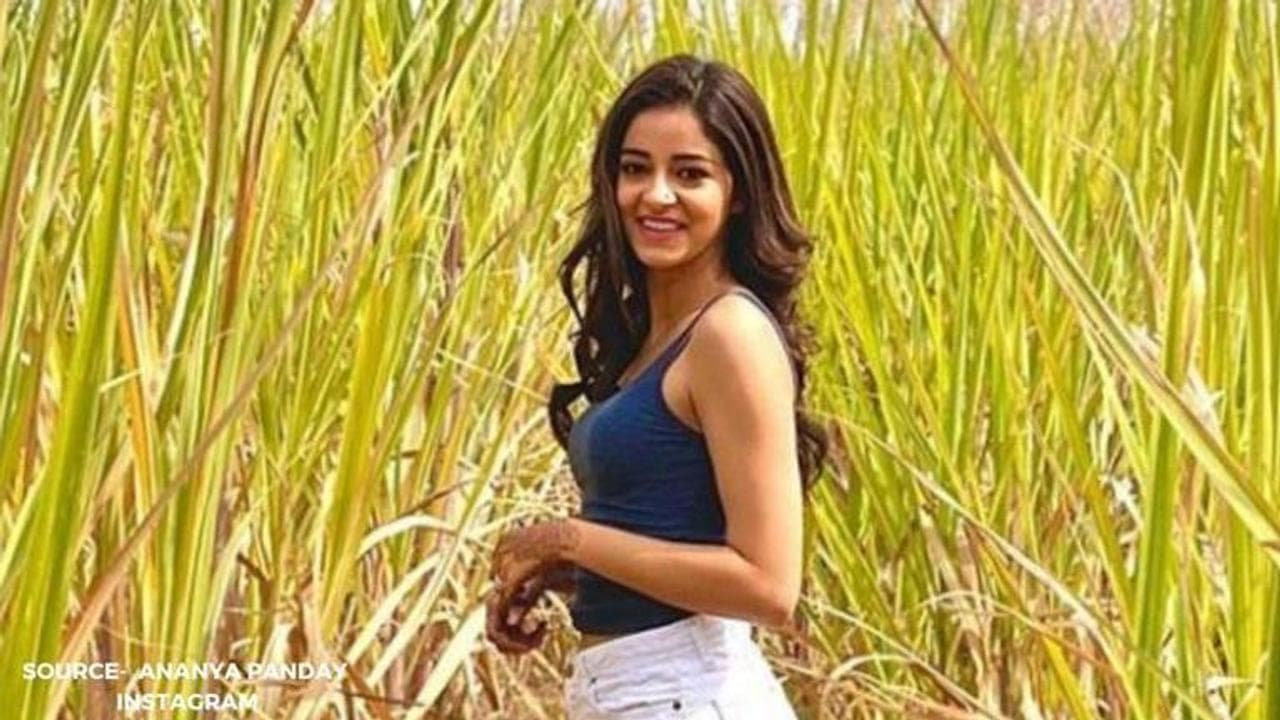In pic: Ananya Panday; Source: Ananya Panday's Instagram
