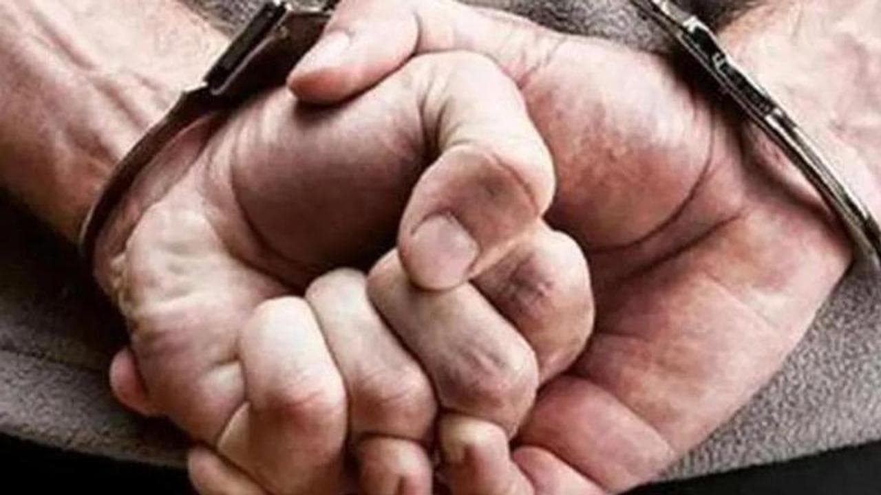 83 arrested, nearly 400 vehicle owners penalised for defying lockdown: Noida police
