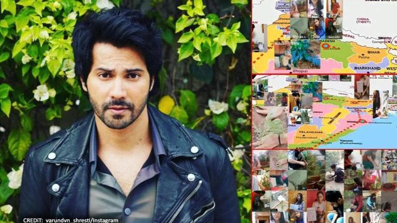 Varun Dhawan's fans plant saplings ahead of his b'day, actor says 'best gift I could get'