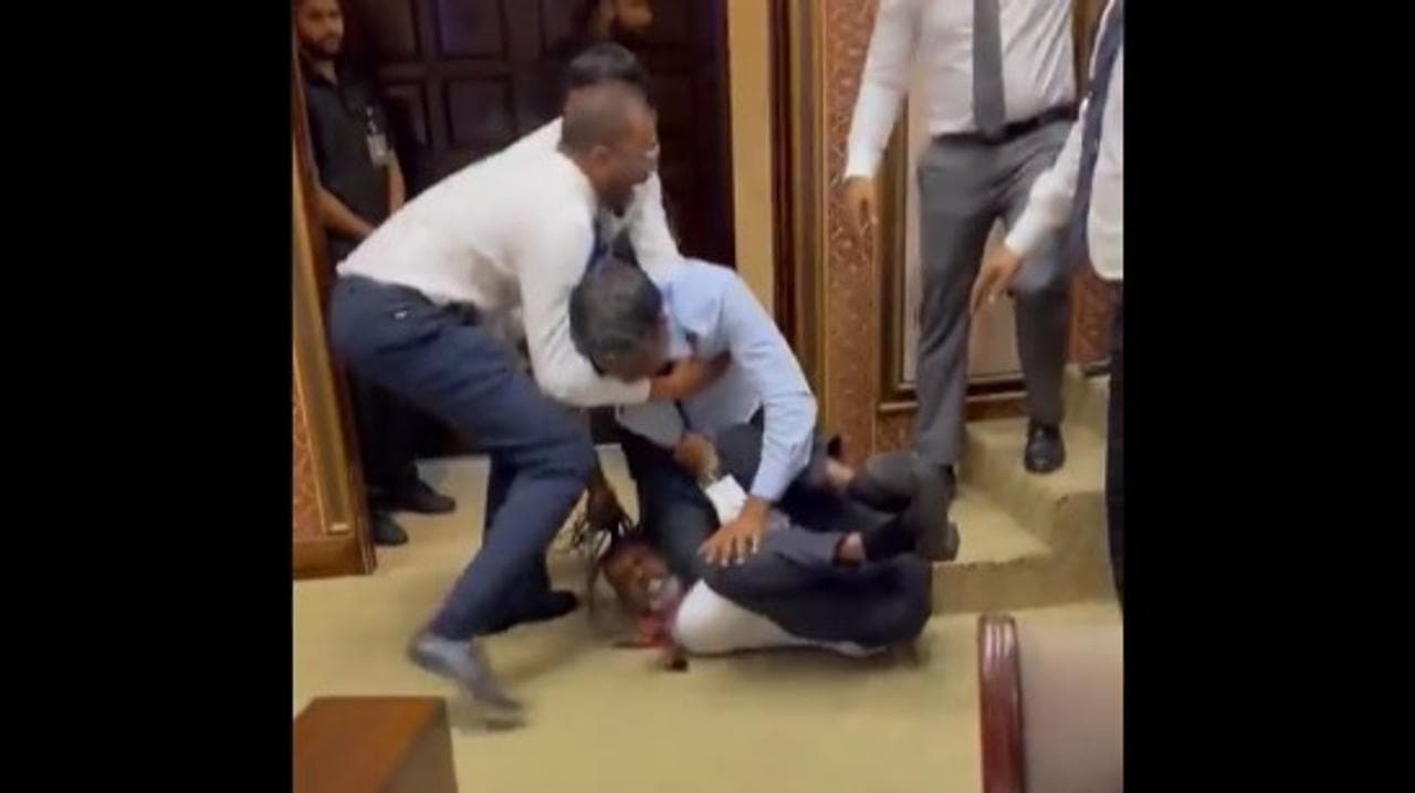 MPs were seen grappling on the floor, one having their hair pulled, and another disrupting proceedings by bowling a trumpet-like instrument. 