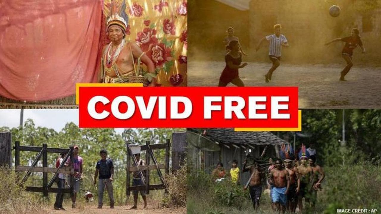 Brazil's indigenous tribe goes six months without COVID-19 case