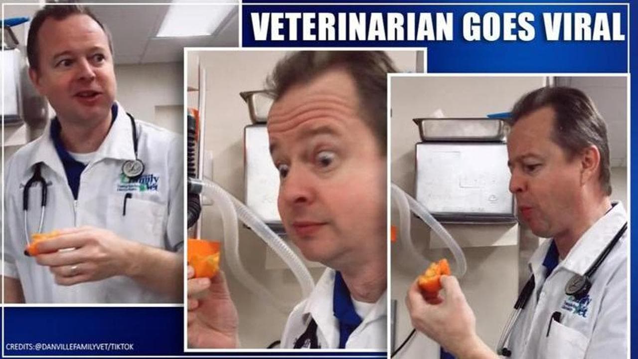 Danville Veterinarian follows the wrong way, eats orange with peel