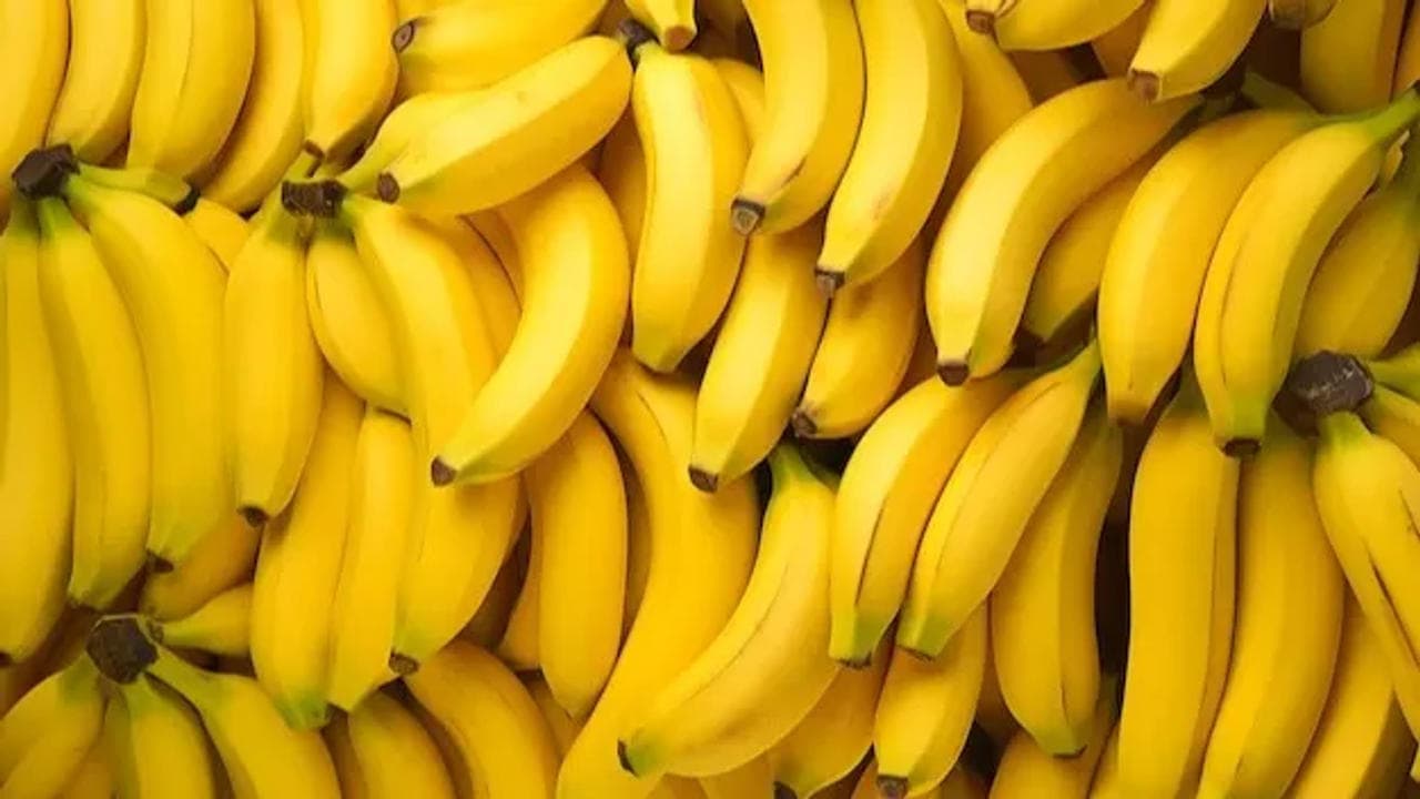 India exports bananas to Netherlands