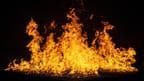 Debt-ridden father sets his 3 children on fire in Bihar's Katihar