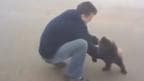 Little bear cub refuses to let go of man