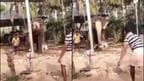 Netizens Go Wild After Video Shows Elephant Playing Cricket in Kerala