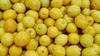 9 Lemons From Tamil Nadu Temple Auctioned For Rs 2.3 Lakh. Know Why