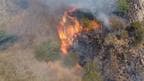 : A Forest fire broke out at Madurai's Madakkulam Sri Kabaleeswari Amman Temple hill