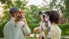 Pets impact on your well being