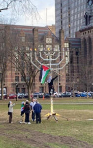 Palestinian flag briefly lodged in public 