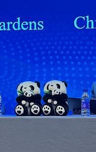 San Francisco Mayor London Breed at a signing ceremony in Beijing meant formalise the panda leasing deal. 