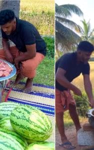 Watermelon Chicken biryani, video goes viral