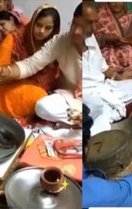 Family performs puja of live cobra snake, video goes viral