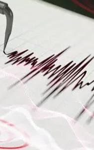 4.9 Magnitude Earthquake Rocks Japan