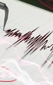 4.9 Magnitude Earthquake Rocks Japan