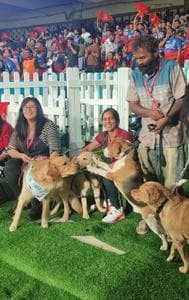 IPL 2024: Dog out initiative of RCB