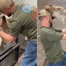 Giraffe Neck Adjustment Video Goes Viral