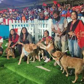 IPL 2024: Dog out initiative of RCB