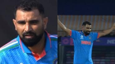 Mohammed Shami celebrates after taking a wicket as India faces New Zealand at the ODI World Cup