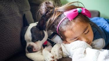 These Kid-friendly Dog Breeds Can Be The Perfect Addition To Your Family